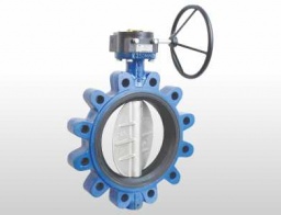 butterfly valve