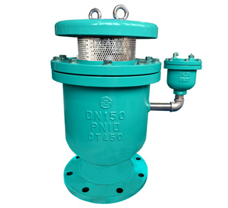 Combination Air Valve