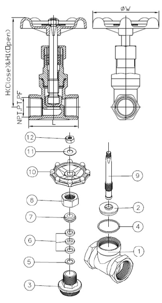 globe check valve
