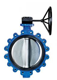 bray butterfly valves
