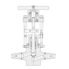 dsi globe valve
