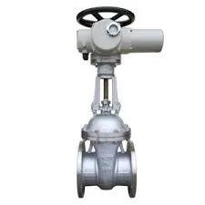 gate valve versus globe valve
